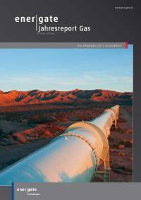Cover of Jahresreport Gas |2013