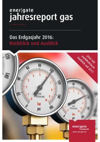 Cover of Jahresreport Gas |2016
