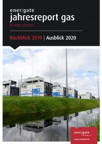 Cover of Jahresreport Gas |2019