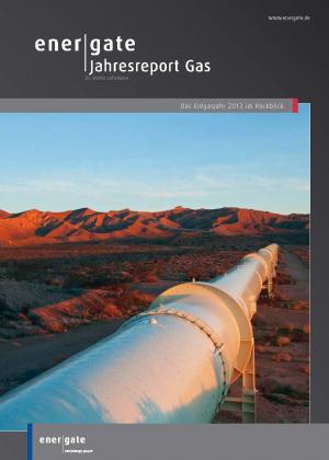 Cover for Jahresreport Gas |2013