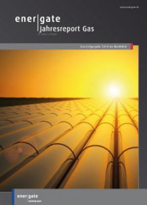 Cover for Jahresreport Gas |2014